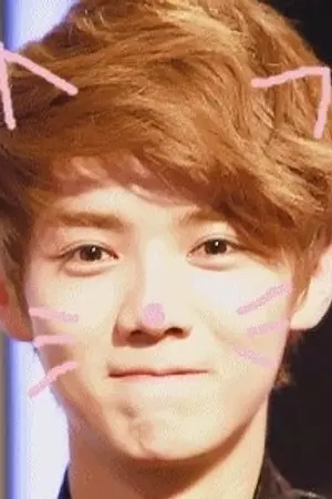 ปกนิยาย {Fic Exo} SexyCat แมวหื่น