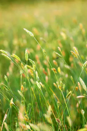 ปกนิยาย นับหนึ่งถึงอสงไขย