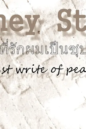 ปกนิยาย Honey Star ที่รักผมเป็นซุป'ตาร์ [fic taohun]