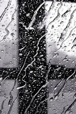 ปกนิยาย SEXSLAVE [Chankai]