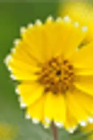 ปกนิยาย เรื่องเล่าของแดด (ฤดูร้อน)