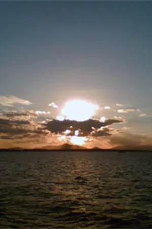 ปกนิยาย New Life