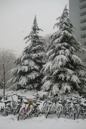 ปกนิยาย เธอไม่อาจลบเลือนไปจากใจ แต่ฉันไม่อาจจำเธอได้ในแบบที่เคยเป็น