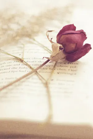 ปกนิยาย [EXO]  : : : แ อ บ ช อ บ - เ ด อ ะ - ซี รี ย์ 2 : : (KRISHO)
