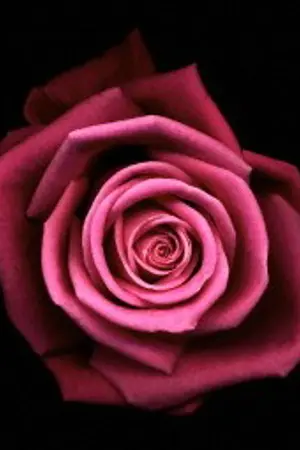 ปกนิยาย รอยบาปเสน่หา