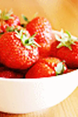 ปกนิยาย Cooking Menu รวมตำราสูตรทำ อาหาร เทียว ช็อปแแหล่งอาหารทั้งไทยเเละเทศ