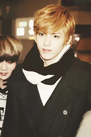 ปกนิยาย [EXO][Fic] Strawberry✿Crisis [KrisLu ChanBaek]