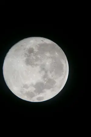 ปกนิยาย ใจแรกเงาจันทรฺ์