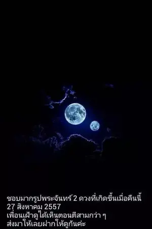 ปกนิยาย วังวนผลึกดารา