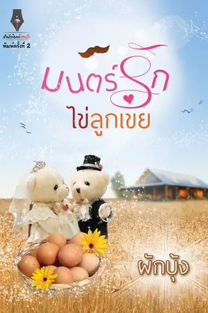 ปกนิยาย มนตร์รักไข่ลูกเขย