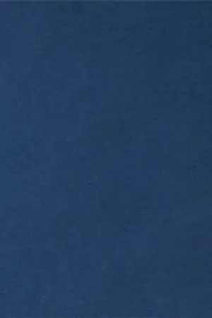 ปกนิยาย Indigo (yaoi)