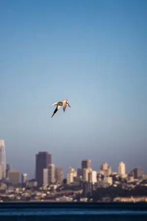 ปกนิยาย Tales Of  Nemesis