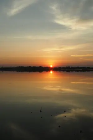 ปกนิยาย Blue of the throne