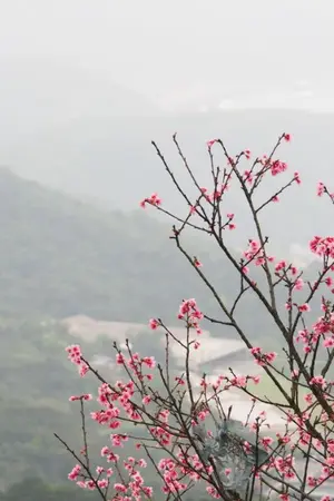 ปกนิยาย Anatomy of soul