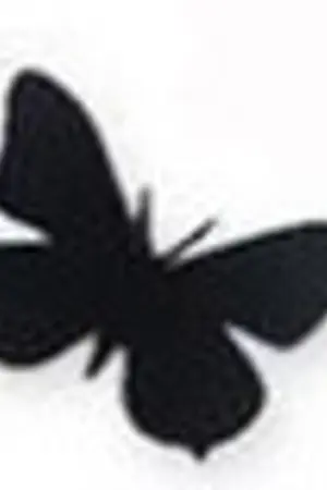 ปกนิยาย อารมณ์ (ฤดูร้อน2014)