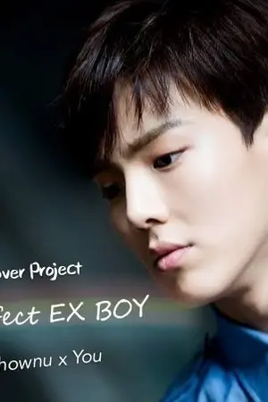 ปกนิยาย [ FIC MONSTAX​ ]​ < Lover Project > Perfect EX Boy [ Shownu x You​]​