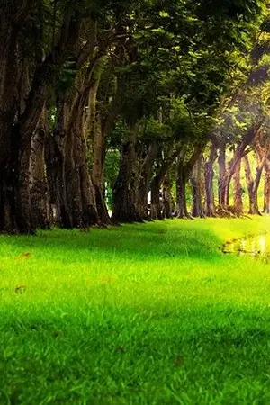 ปกนิยาย สืบรักกับดักใจ