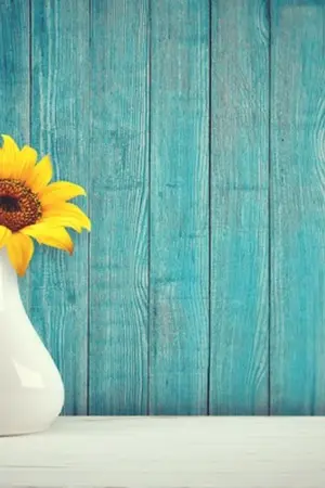 ปกนิยาย ก็มากกว่าเพื่อน