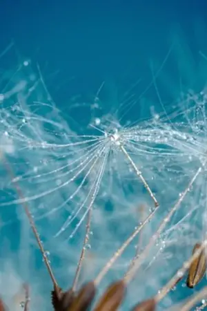 ปกนิยาย รักไม่ทันตั้งตัว