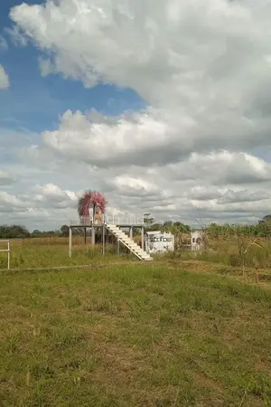 ปกนิยาย รักนิดๆไม่คิดอะไร