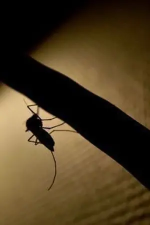 ปกนิยาย โรงเพาะผี : อสุรกาล (Incubation the Series)