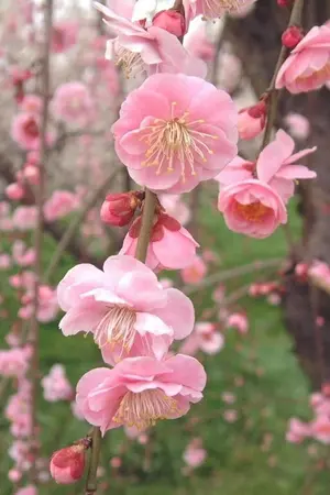 ปกนิยาย = [Seetakarn's OS/SF Box] =