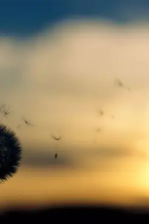 ปกนิยาย Lost Chance, The Series*