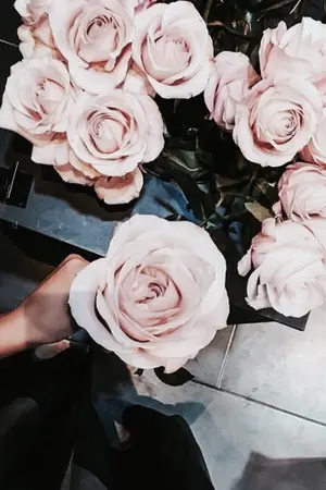 ปกนิยาย (FanFic - VIXX) Blessing in spring