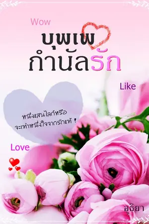 ปกนิยาย บุพเพกำนัลรัก