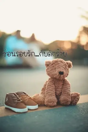 ปกนิยาย