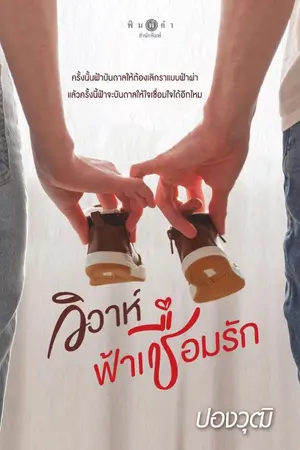 ปกนิยาย วิวาห์ฟ้าเชื่อมรัก