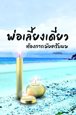 ปกนิยาย พ่อเลี้ยงเดี่ยวต้องการเมียครับ