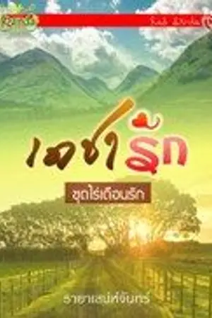 ปกนิยาย