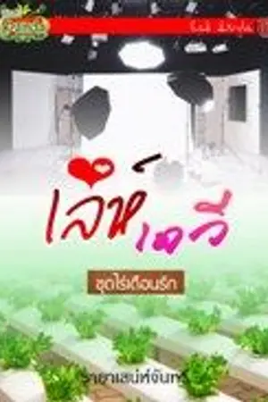 ปกนิยาย เล่ห์เดวี (ชุดไร่เดือนรักลำดับที่2)