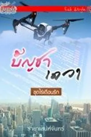 ปกนิยาย บัญชาเดวา (ชุดไร่เดือนรักลำดับที่3)