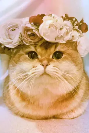 ปกนิยาย การเลือกคู่ของราชาปีศาจ (มี E-Book)