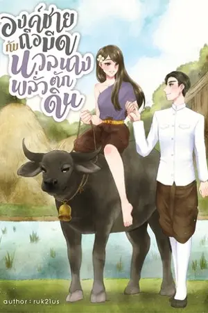 ปกนิยาย องค์ชายถือมีดกับนวลนางพลั่วตักดิน (มี E-Book)