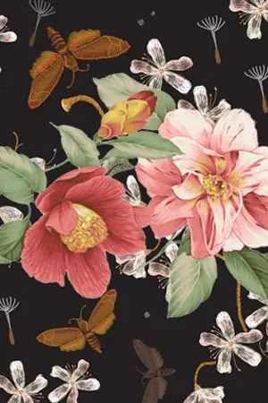 ปกนิยาย เล่ห์ภมร