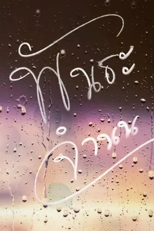 ปกนิยาย