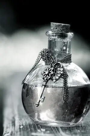 ปกนิยาย Love Potion เสน่หา...มายาเร้นรัก (DM&HG)