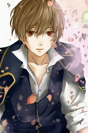 ปกนิยาย The Darkness Online [หน้าหม้อออนไลน์ เจ้าชายเพลบอย]