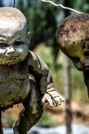 ปกนิยาย ...The Credo...เรื่องเล่าตำนานสยอง