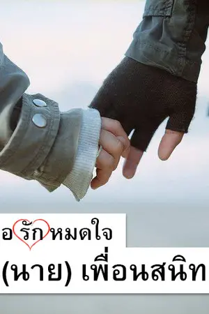 ปกนิยาย