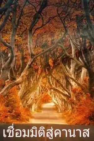 ปกนิยาย เชื่อมมิติสู่คานาส