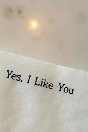 ปกนิยาย #ใจเป็ดของหมี่