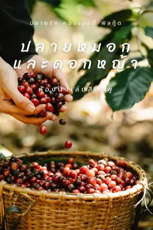 ปกนิยาย ปลายหมอกและดอกหญ้าฉบับ 2565