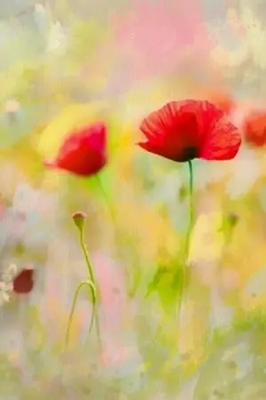 ปกนิยาย ฝากลูกเมียข้าด้วย (Yaoi)