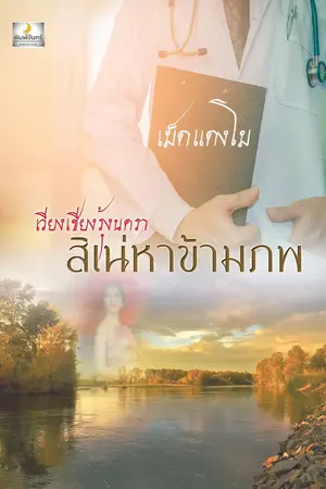 ปกนิยาย