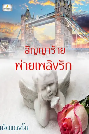 ปกนิยาย