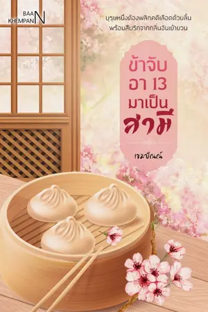 ปกนิยาย ข้าจับอา 13 มาเป็นสามี